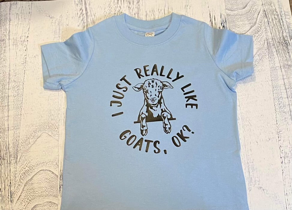 What's Not To Like T-shirt - Light Blue